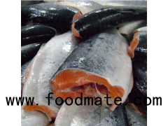 Fresh Atlantic  Trout Fish / Quality Trout Fish