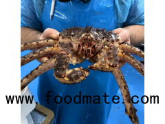 Live King Crab / Norway Red King Crab