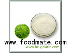 Best Quality Stevioside Natural Sugar Additive High Sweetness Low Calories Sugar