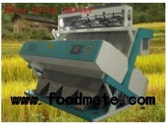 sorter machine