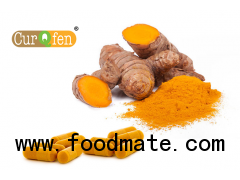 CurQfen® - Curcumin Supplement