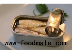 canned tuna /sardine