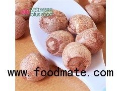 Dried Red Lotus Seed Nut Kernel with Core Plumele Lotus Extract Manufacture Wholesaler Exporter