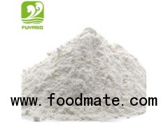 modified starch manufacturer