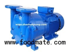 2BV5 Liquid Ring Vacuum Pump