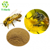 bee propolis liquid  extract flavones propolis powder