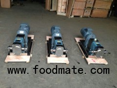 Stainless Steel 316L Electric Rotor Material Transfer Pump