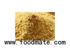 Ginger Extract