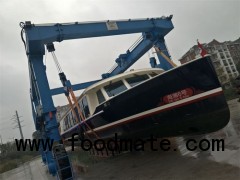 Boat Hoist Crane