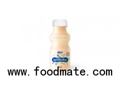 Wholesale Lactobacillus Drink 250ml