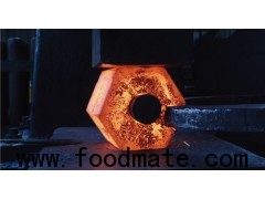 China large forgings-forgings parts OEM/ODM factory