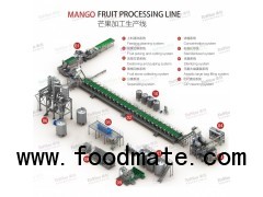 mango processing plant equipment