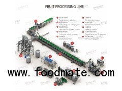 mango peach apricot processing line