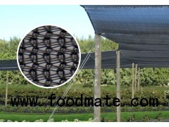 Windbreak Netting