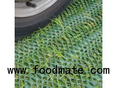 Grass Protection Mesh