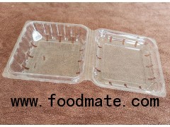 Disposable PET transparent food box