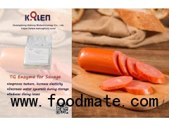 Sausage ingredient---Transglutaminase(TG)