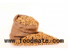 Soya Beans, White Kidney Beans, Red Beans, Black Beans and Mung Beans for Sale