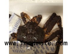 LIVE RED KING CRAB