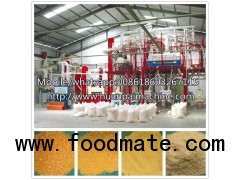 Maize corn flour rice mill grain milling machine 40T corn grinder machine production manufacturers