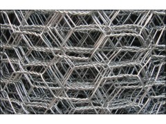 Galvanized Wire Netting