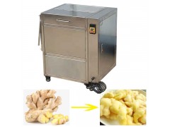 Small Ginger Washing Peeling Machine