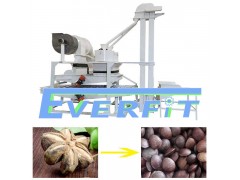 Sacha Inchi Shelling Machine Factory Price