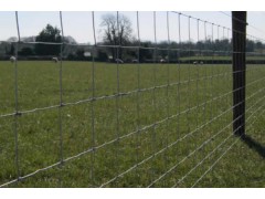 SHEEP & GOAT FENCE