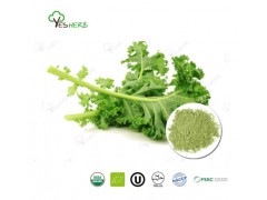 Kale Powder