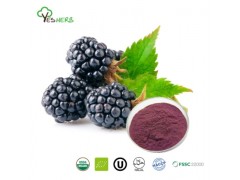 Mulberry Powder