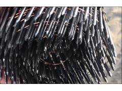 Wire Collated Coil Nail