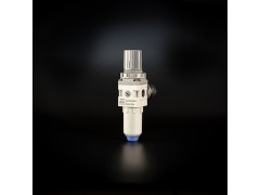 ZW2000 Series Filter Regulator