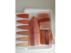 Frozen chum salmon portions