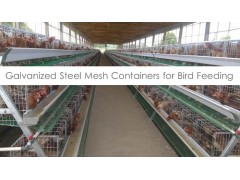 Chicken Layer Cage System