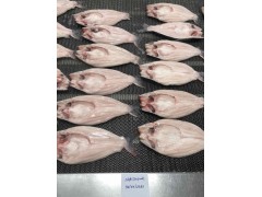 FROZEN PANGASIUS BUTTERFLY CUT