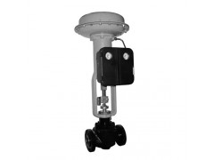 Non-Lubricating Globe Control Valve