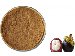 mangosteen fruit extract