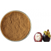 mangosteen fruit extract