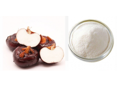 food additive Chestnut powder