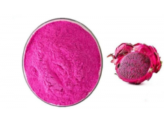 food additive fruit powder dragon fruit powder