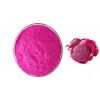 food additive fruit powder dragon fruit powder