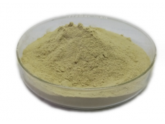 Noni Extract 10:1 Water soluble Noni Powder and Noni Enzyme