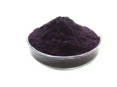 Purple Potato Anthocyanins Purple Potato Anthocyanins Mature Purple Potato Powder