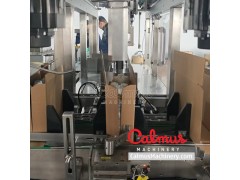 Wrap-Around Case Packer Machine for Packaging Pouches